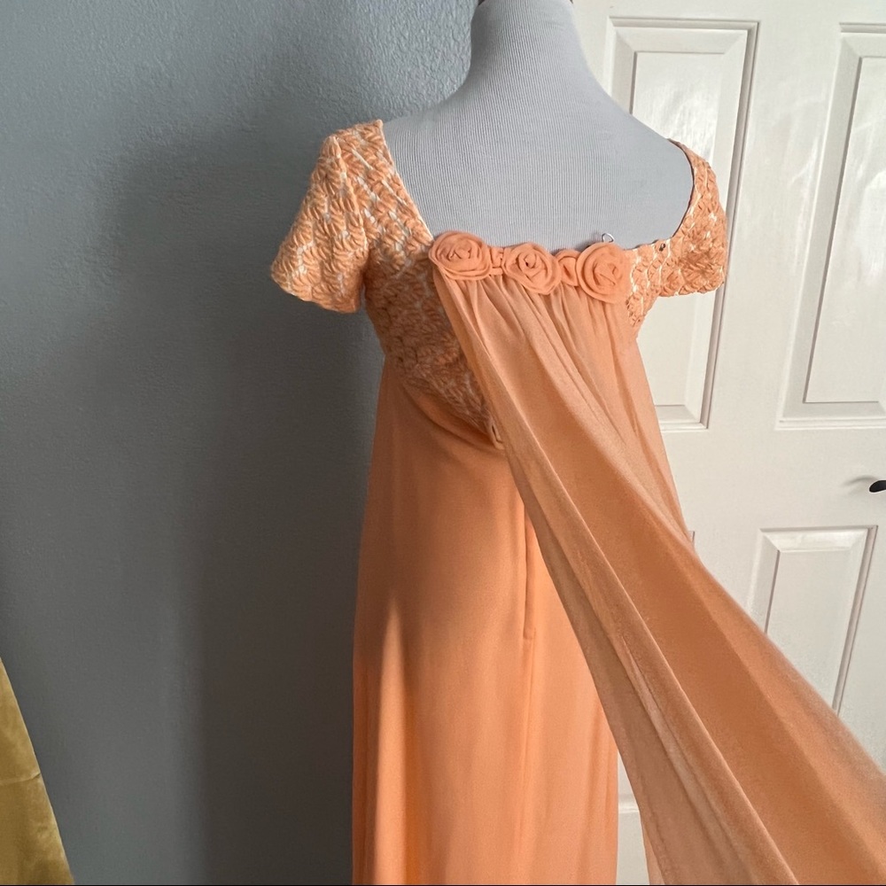 Vintage 60s Short Sleeve Peach Chiffon Empire Waist Maxi Sheath Dress ILGWU - Picture 4 of 11